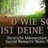 DIE MEISTERSINGER Ach Bleib Mit Deiner Gnade Melchior Vulpius Ltg KLAUS BREUNINGER 2008