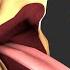 Sonic Eats A Lemon And Dies SFM