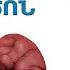 Ինչու են երիկամները հրաժարվում գործել 8 վնասակար գործոն