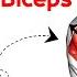 7 BEST Exercises For WIDER BICEPS