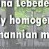 Nina Lebedeva Locally Homogeneous C0 Riemannian Manifods