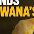 Botswana S Next Step In Diamond Evolution Lesego Matsheka On The Diamond Value Chain