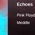 Pink Floyd Echoes 8D AUDIO