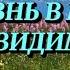 6 МИР В МИРЕ НЕВИДИМОМ ЭНТОНИ БОРДЖИА жизньпослесмерти околосмертныйопыт духовныймир аудиокниги