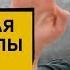 Сила воли мускульная теория силы воли и 4 стратегии самоконтроля Келли Макгонигал