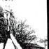 Alive She Died She S Lost Control Joy Division Cover