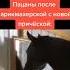 пацаны после парикмахерской мем Memes рекомендации приколы Shorts