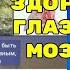 Как маленькая носовая мышца ЗАБИРАЕТ ЖИЗНЬ у глаз и мозга Оживляющие упражнения