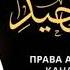 Ислам 198 Церковные слова и термины Ринат Абу Мухаммад