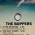 THE BOPPERS Everybody Wants To Be A Star