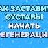 Как заставить суставы начать регенерацию здоровье шишонин суставы