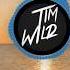 Black Wonderful Life Tim Wild Remix