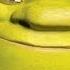 30 Mins Of What Are You Doing In My Swamp Remix Shrek