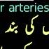 Detox You Blocked Arteries Dil Ki Band Sharyanain Kholne Ka Tarika By Adeel Mansoor Urdu Hindi