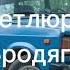 Петлюра Бродяга