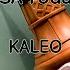 KALEO USA Today