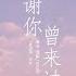感谢你曾来过