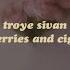 Strawberries Cigarettes Troye Sivan From Love Simon Lyrics