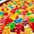 How Gummy Bears Are Made Gummy Candy In Factory Secret Process