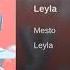 Mesto Leyla