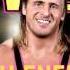 WWE High Energy Owen Hart AE Arena Effect