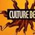 Culture Beat Got To Get It Club Mix