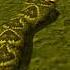 AxySnake игры