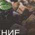 Пробуждение природной силы стихий