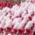 Yea Alabama University Of Alabama Million Dollar Band