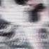 Glitch Knight Of Sildonia
