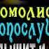 24 ноября Богородица Посылает Тебе эту молитву чтоб исполнить желение