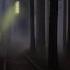 Succubus Book Trailer 2