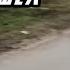 ПИТ БАЙК KAYO TT125 ЗВУК НАБОР РАЗМЕР СКОРОСТЬ НЕНОРМАЛЬНЫЙ ОБЗОР