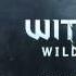 The Witcher 3 Wild Hunt OST 15 Widow Maker