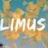 Limus Shapes Original Mix