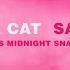 Doja Cat Say So Jax Jones Midnight Snack Remix Official Audio