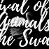 Saint Saëns Carnival Of The Animals The Swan 10 Hours W Rain Fireplace Relaxing Music
