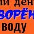 Что будет если каждый день пить заговорённую воду Шепоток на воду