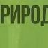 Разнообразие живой природы Царства живых организмов Отличительные признаки живого Видеоурок