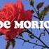 La Vie En Rose Chloe Moriondo Unofficial Lyric Video