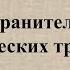 Виртуальная выставка Хранитель классических традиций Читаем Чарльза Сноу