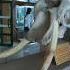 Как выглядит череп слона What Does An Elephant S Skull Look Like Warsaw