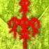 Fehu Wardruna