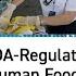 Importing FDA Regulated Products Human Foods