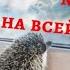 ПУСТЬ БУДЕТ МИР НА ВСЕЙ ЗЕМЛЕ PEACE ON THE WHOLE EARTH Музыкальная открытка Очень красивая музыка