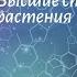 Биология 7 кл Пасечник 12 Высшие споровые растения