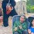 2 Ferocious Gorilla Monsters Attack 3 Beautiful Brave Girls And A Poor Old Man Screaming For Help