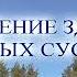 Возрождение здоровых молодых суставов Для мужчин и женщин Настрои академика Сытина Г Н