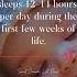 Meditation Music To Put You To Sleep Babysleepmusic Lullaby Lullabyforbabies
