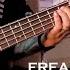 Korn Freak On A Leash Bass Cover TABS ON SCREEN